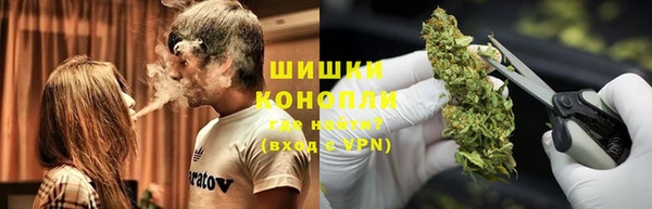 бутират Лагань