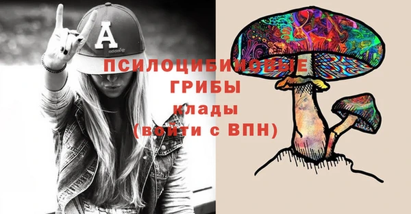 бутират Лагань